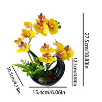 Pot Bentuk Bulan Sabit Laris Manis 12 Anggrek Phalaenopsis Tanaman Pot Dekorasi Fotografi Pernikahan Bunga