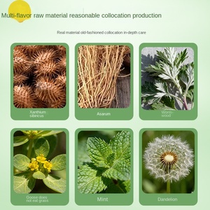 Patch nasal Xanthium pour la ventilation nasale des enfants, patch de santé à base de plantes, modèle Nashu Paste - Product Image 3