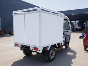 Tricycle de livraison en acier Lubumbashi en promotion, 3 roues, capacité de charge de 400 kg, avec boîte fermée et porte-bagages, idéal pour les commerces dans les villages isolés - Product Image 5