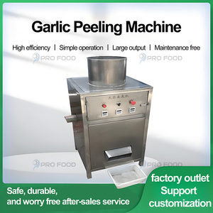 Machine à éplucher l'ail durable Machine à éplucher l'ail automatique Usine directement Machine de traitement de l'ail - Product Image 6