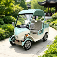 Carrito de Golf Eléctrico Holladay con Toldo, Scooter de Movilidad para Personas Mayores de 4 Ruedas, Carrito Eléctrico de Compras Doméstico Pequeño y Potente de 48V