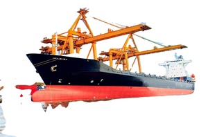 Transporte de Mercancías de China a Nueva Zelanda y Australia por Vía Aérea+Exprés, Etiquetado Amazon FBA, Seguro, Envío en 7 Días - Product Image 4