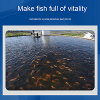 Brique de probiotiques fermentés à base de bactéries lactiques pour l'aquaculture, amélioration de la qualité de l'eau, croissance des poissons et des crevettes, additif alimentaire