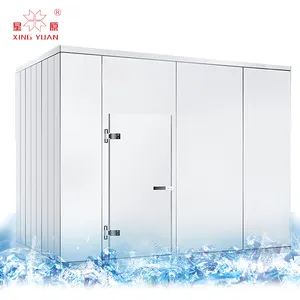 chambre froide冷冻箱，用于鱼金枪鱼冷冻室，用于鱼类储存步入式爆炸冷冻箱