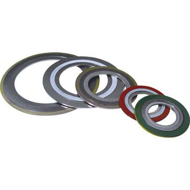 Factory customized SS316L graphite spiral wound gasket