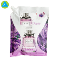 Sac de détergent de blanchisserie de logo d'impression personnalisée pour les cosmétiques industriels sac d'emballage en plastique de soin personnel avec la buse d'aspiration 1.3KG