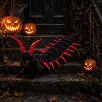 Costume de chat mignon et original de style européen, tenue sur le thème du centipède pour Halloween, idéal pour les aventures en extérieur, toutes saisons, transfrontalier
