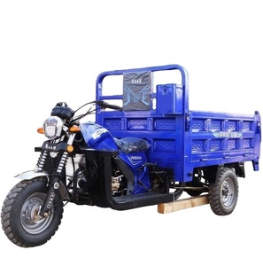 "รถ<span class=keywords><strong>สามล้อ</strong></span><span class=keywords><strong>บรรทุก</strong></span>ของที่ระบายความร้อนด้วยน้ำ250cc <span class=keywords><strong>อเนกประสงค์</strong></span>ผลิตในจีน - Product Image 6