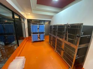 Kapalı kullanım evcil hayvan kafesi yuvarlak köşe modüler kafes sistemi paslanmaz çelik Pet hastane köpek kafesi - Product Image 2