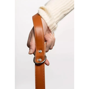 TD Sierra Sunrise Luxury Dog guinzaglio 3m Vegan accessori per gatti in pelle resistente in stile solido morbido personalizzato luci eleganti