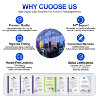 Pantalla LED para Exteriores de Instalación Fija P6.25 5500nit IP65 para Acuarios, Amfiteatros, Plazas y Festivales