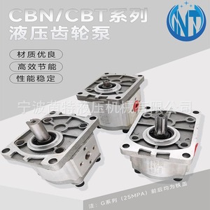Pompe hydraulique à engrenages Ningbo Int CBN-F310 350 bars, 1 étage, corps en alliage d'aluminium, engrenages en fonte, 2 CV, pompe hydraulique rotative - Product Image 3