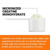 LIFEWORTH Vente en gros Supplément de prise de masse sportive sans sucre Créatine Monohydrate en poudre