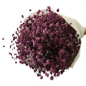 Paquete de Material de Flores de Gypsophila <span class=keywords><strong>Paniculata</strong></span> Preservadas, Hechas a Mano, para Decoración del Hogar en Bodas, Día de la Madre y Pascua - HFloral Yunnan - Product Image 6