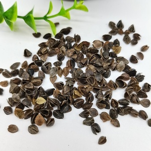 Bán buôn Hữu Cơ kiều mạch tự nhiên trấu vỏ/kiều mạch Shell cho gối - Product Image 6