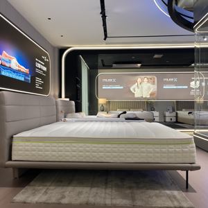 Matelas intelligent électrique multifonctionnel avec massage, chauffage et tissu tricoté écologique pour hôtels et appartements - Product Image 2