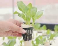 Accessoires du système hydroponique du fabricant, nouveau Design, gobelet en plastique de 2 pouces avec panier à fentes