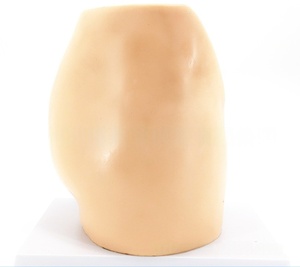 Système urinaire reproducteur féminin modèle d'anatomie sagittale aide à l'enseignement médical en plastique pour l'école de médecine avec utérus - Product Image 5