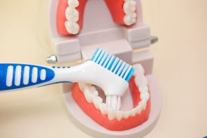 <span class=keywords><strong>Brosse</strong></span> à prothèses dentaires double face en nylon DuPont 610 avec support, personnalisable avec logo, pour nettoyage d'appareils dentaires (OEM/ODM) - Product Image 2