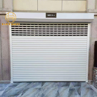Porte de volet roulant ventilée en aluminium électrique ouragan automatique de résistance à la Corrosion de haute qualité
