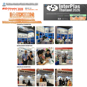 Caja de Almacenamiento de Frutas, Verduras y Granos para Refrigerador de Cocina, Personalizada, Metálica, Transparente, Moldeada por Inyección de Plástico - Product Image 6