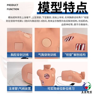 Modèle de drainage thoracétique ; Modèle de thoracoscopie ; Modèle de traitement de la zone pleurale fermée pour le pneumothorax. - Product Image 4