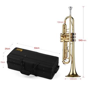 Kit <span class=keywords><strong>de</strong></span> <span class=keywords><strong>Trompeta</strong></span> Bb Profesional para Principiantes, Instrumento <span class=keywords><strong>de</strong></span> Latón Completo con Estuche Rígido Duradero y Accesorios - Product Image 5