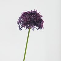 Bouquet de fleurs artificielles Real Touch KL Dandelion pour la décoration de la maison, Noël, Thanksgiving, la remise des diplômes, le jardin, le restaurant, l'hôtel