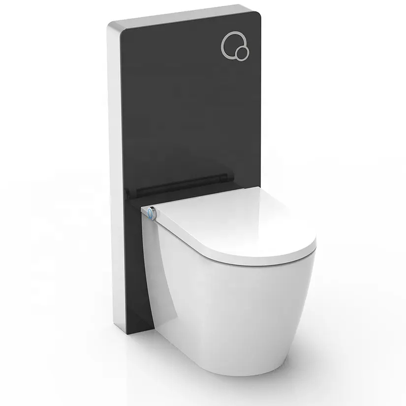 Japanese Toilet Seat Luxury Bathroom Sanitary Ware Flushing Siphon Shower Toilet