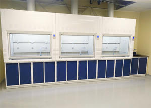 Phòng Thí Nghiệm Hóa Học Bench <span class=keywords><strong>Top</strong></span> Full Steel Fume Hood Cho Giá Phòng Thí Nghiệm - Product Image 5