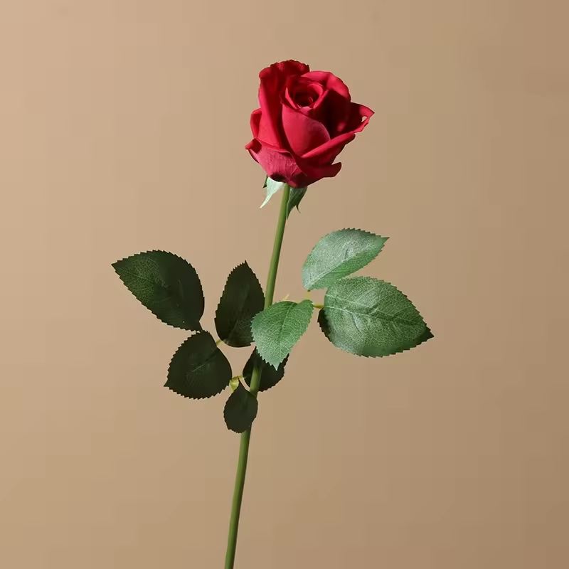 Rouge
