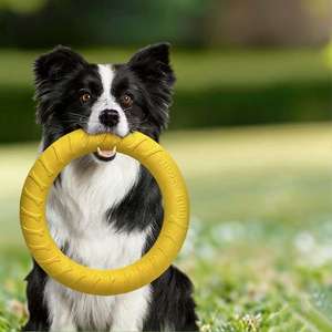 EVA Eco-vriendelijk hondenspeelgoed, kauwbestendig, tegen verveling, voor grote honden (Border Collie Golden Retriever Puppy) Model LH-1 - Product Image 1