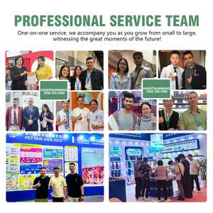 Arena para Gatos de Bentonita de Baja Emisión de Polvo, Absorción Rápida, Sin Polvo, Multiscentos, Servicio OEM, Muestras Gratis - Product Image 3