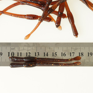 Señuelo de Pesca de PVC Suave con Forma de Lombriz de 8 cm, Color Marrón Oscuro que Brilla en la Oscuridad, para Agua Dulce - Product Image 1