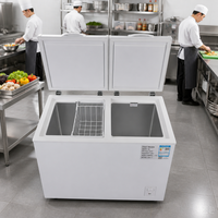 Congélateur coffre ouvert pour supermarché, en acier inoxydable 304, à refroidissement direct, 1 porte, multi-climatisation, pour viande congelée