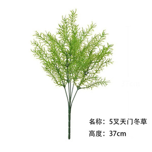 Plante artificielle d'asperges à 5 branches Greenway, 37 cm, verte, pour décoration intérieure et extérieure, style naturel - Product Image 1