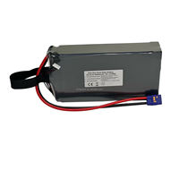 Batterie de drone rechargeable à semi-conducteurs haute capacité 6S 22,2V 80000mAh, décharge 10C, longue autonomie, pour drones industriels