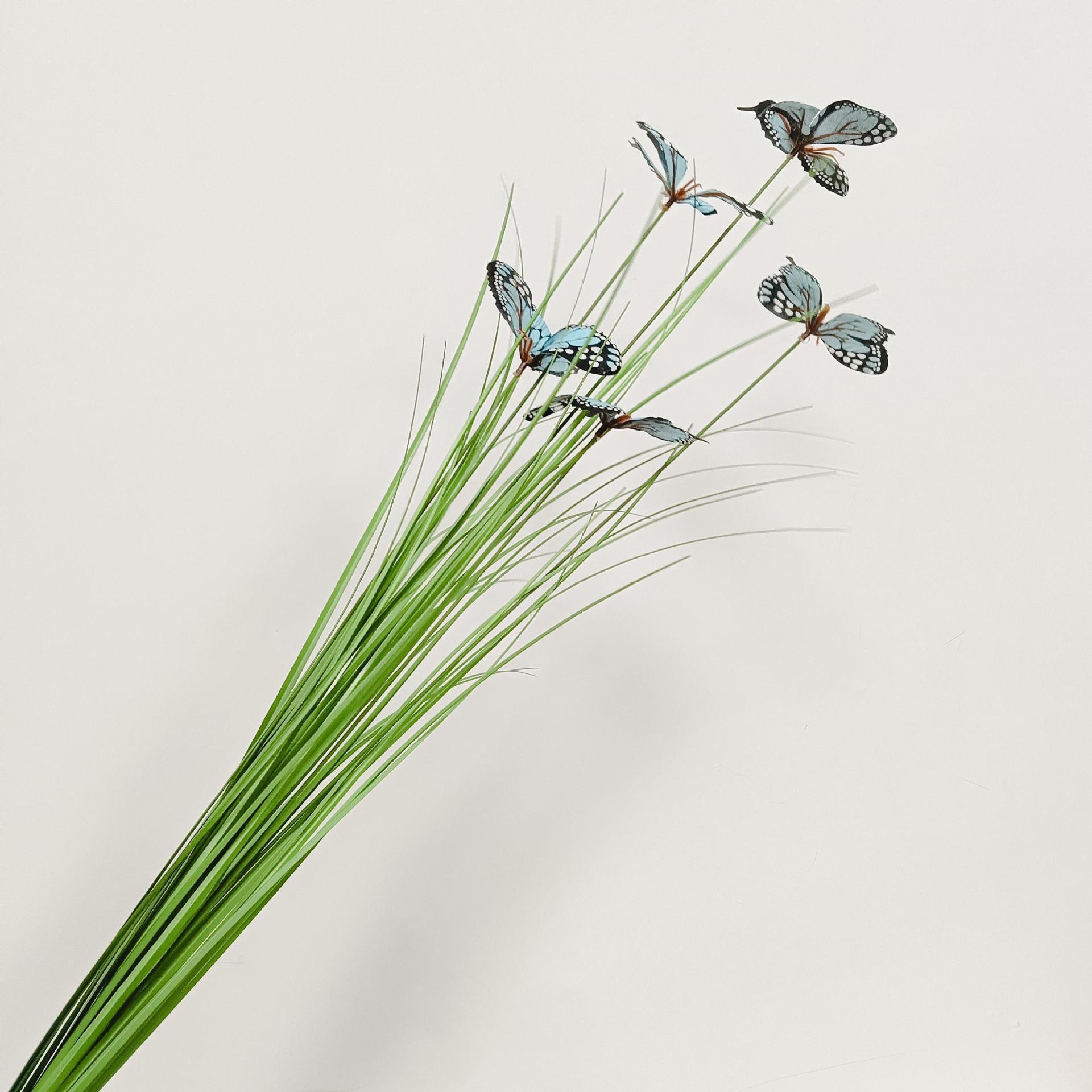Butterfly single spring blue head