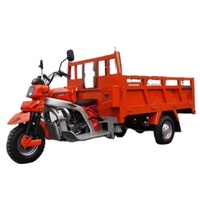 Tricycle à essence à trois roues avec side-car, benne de chargement ouverte 1,6x1,1m, moteur refroidi par air 175, homologué EEC/GCC/DOT, 400kg