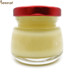 BEESTAR 10-HDA 2.0% Jalea Real Alta Calidad Abeja Reina leche pura Natural congelado orgánico alimentos y bebidas para adultos niños - Product Image 2