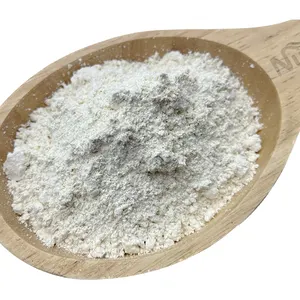 Hemp Protein Powder Wholesale Superfoods Seed High Quality Beat Price Hemp Isolate Organic Hemp Light Green Powder 2 Years