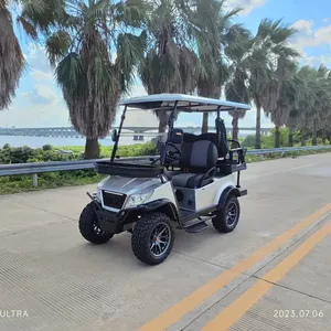 2023 Profession elle Herstellung von 4-Rad-Verleih-Golf-Schubwagen/Golf wagen aus Aluminium legierung