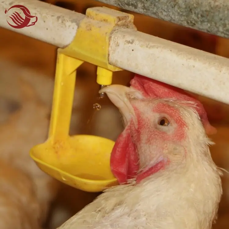 Poultry Farm Animal Feeders Automatic Feeding Line Poultry Equipments Line Feeding Chicken Feeder