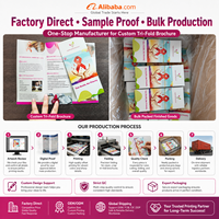 Impression de brochures personnalisées à trois volets, couleur pleine, papier offset, finition vernie, fabricant de prospectus promotionnels OEM