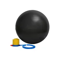 कस्टम लोगो के साथ 2021 कसरत तनाव फिटनेस गेंद व्यायाम गेंदों