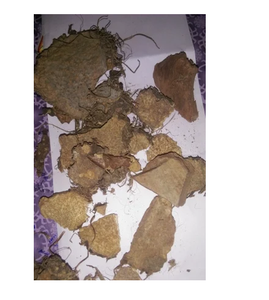 Producto de extracto de planta de raíz Varahi Kand en embalaje de bolsa - Product Image 6