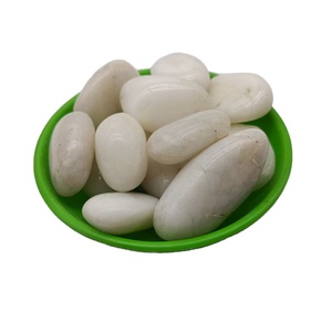 Líneas de guijarros de piedra natural blanca pura Espacios delineados para respirar Tipo de adoquín para aplicación de Villa - Product Image 5