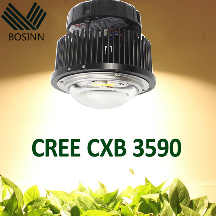 爆光　栽培ライト　CREE CXB3590 3500K led ライト　cob COB LED Grow Light - Full Spectrum 100W, 50000hrs Lifespan