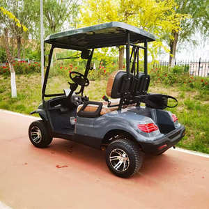 Carrito de Golf Premium 2025 de 2 Plazas - Oferta Exclusiva por Tiempo Limitado, Carrito de Golf Premium 2025 de 2 Plazas, Oferta por Tiempo Limitado, Carrito de Lujo 2025 - Product Image 4