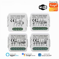 Module Mini DIY 1/2/3/4 Gang 2 Voies Tuya Smart à Commande Vocale, Relais Électrique en Plastique, Contrôleur de Minuterie Étanche PC